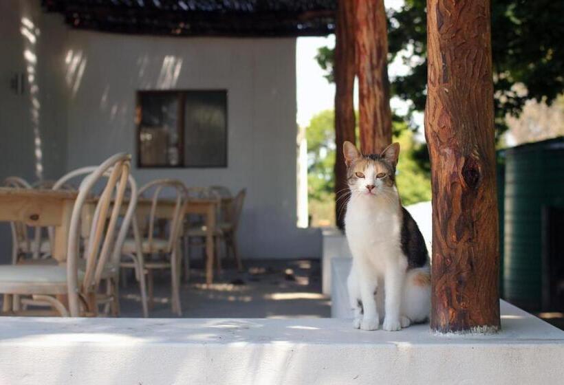 Отель Laughing Waters Farm