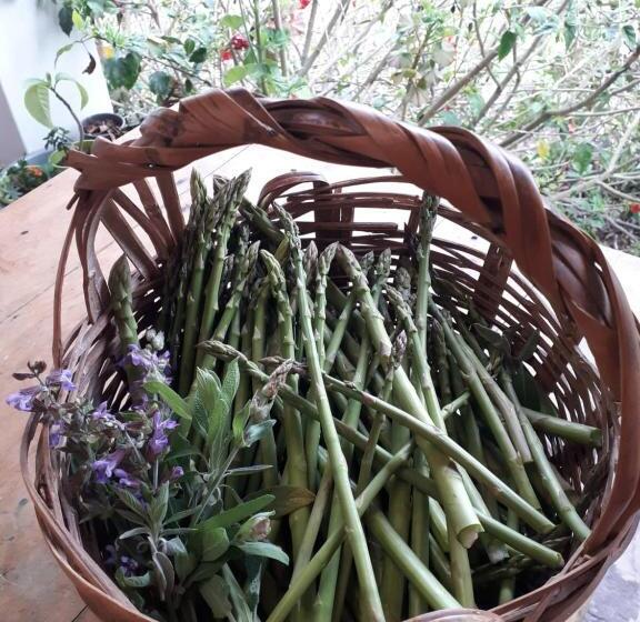 Отель Laughing Waters Farm