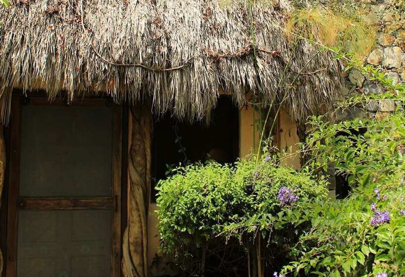 בית מלון כפרי Mandala Thai