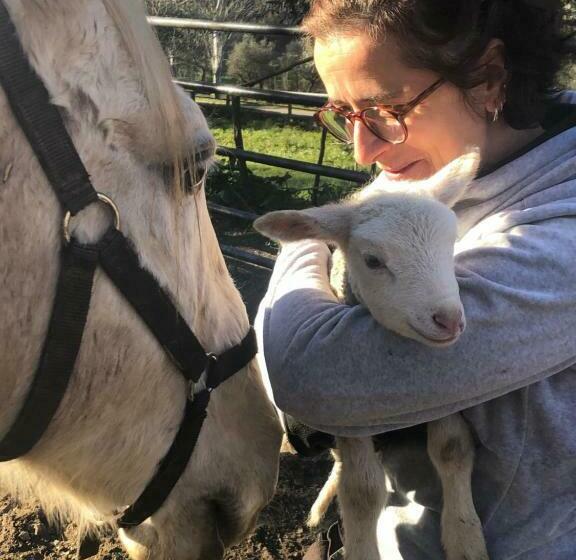 בית מלון כפרי Quinta Do Ragal