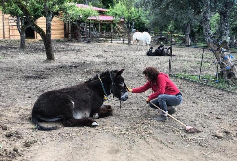 בית מלון כפרי Quinta Do Ragal
