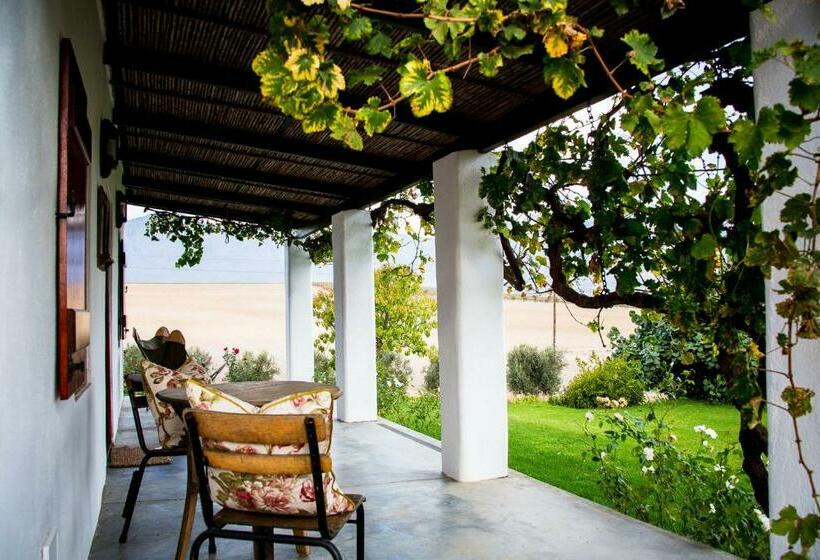 فندق Vineyard Cottage At Bosman Wines