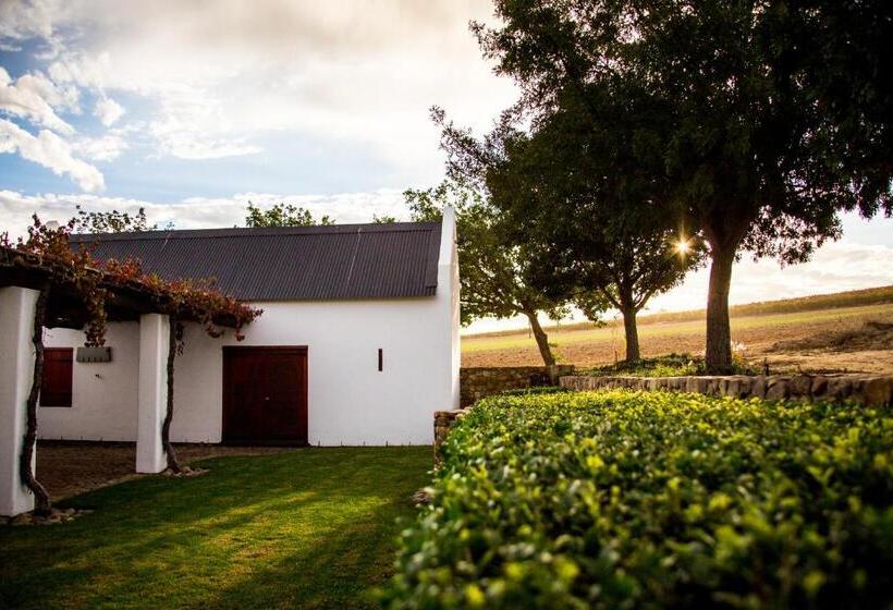 فندق Vineyard Cottage At Bosman Wines