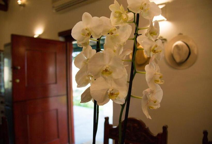 فندق Vineyard Cottage At Bosman Wines