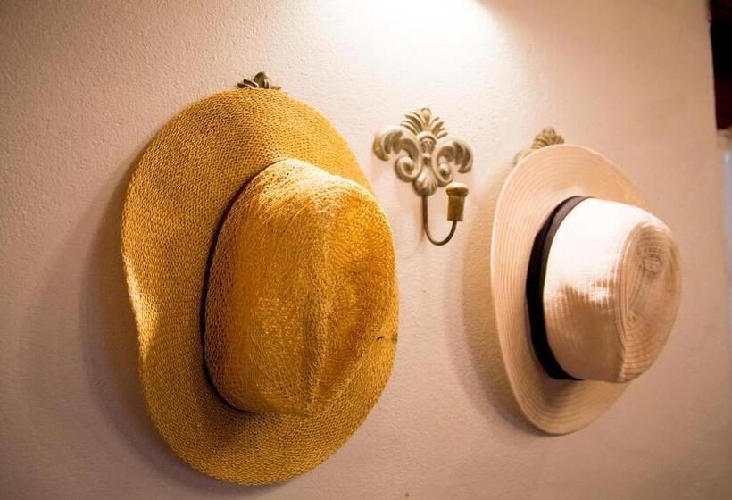 فندق Vineyard Cottage At Bosman Wines