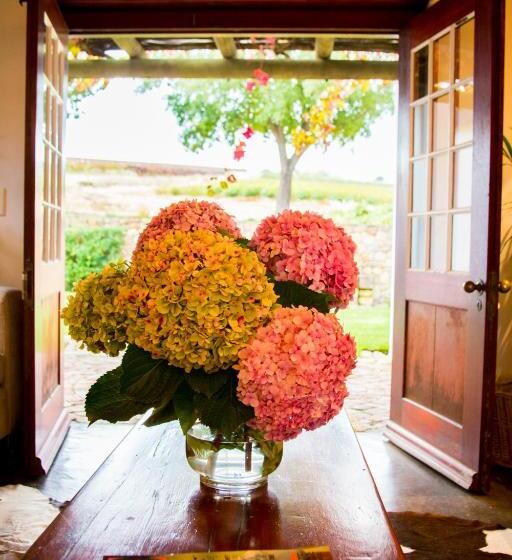 فندق Vineyard Cottage At Bosman Wines