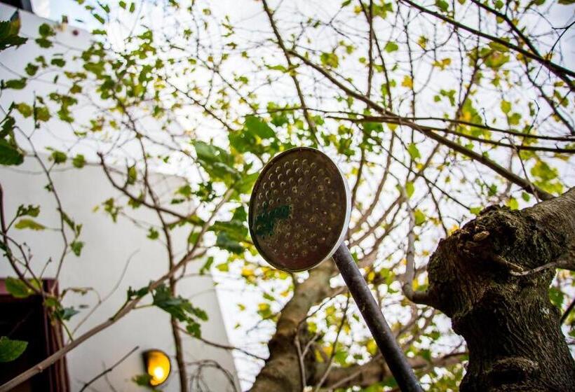 فندق Vineyard Cottage At Bosman Wines