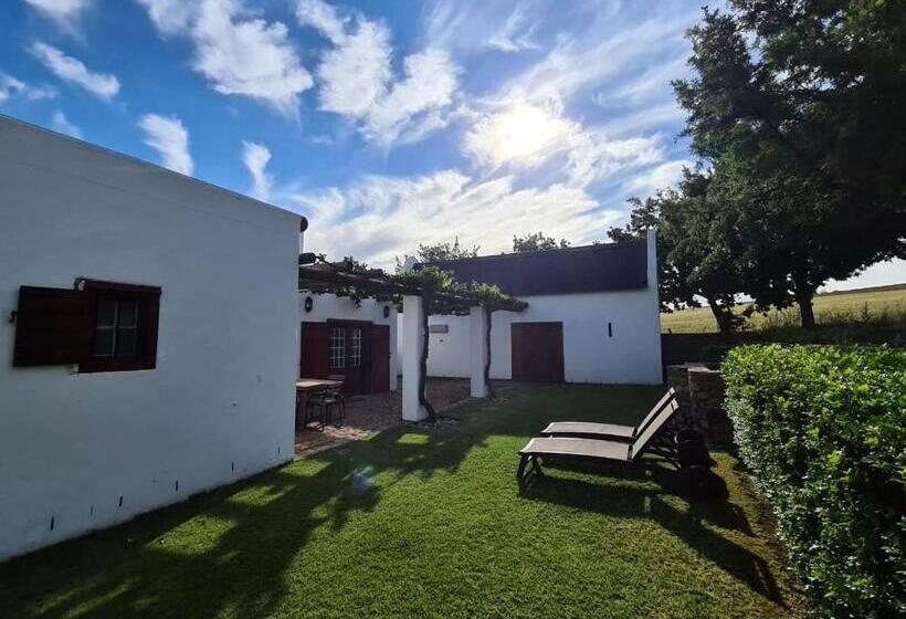 فندق Vineyard Cottage At Bosman Wines