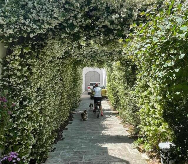 Пансион Bartago Luxury House