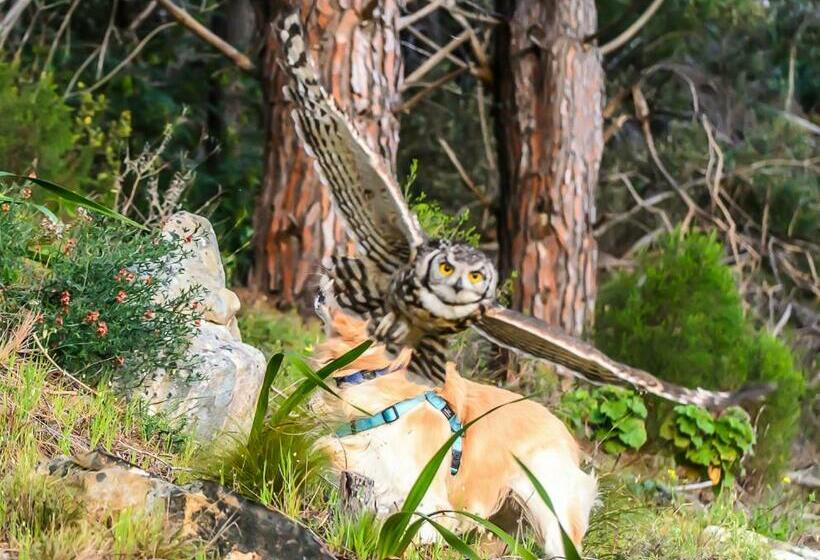 بنسيون Bayview Mountain Seafacing Cottages