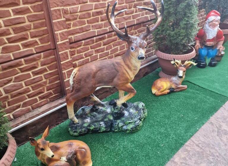 פנסיון Casa Cojanu