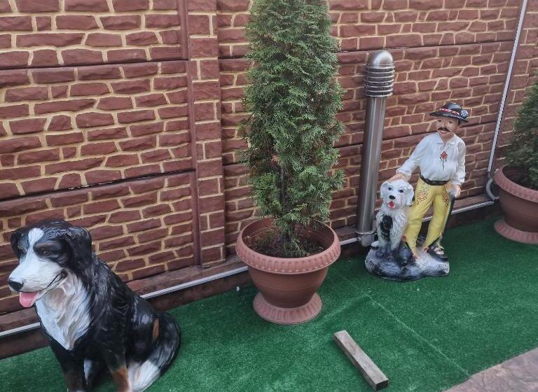 פנסיון Casa Cojanu