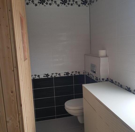 פנסיון Casa Cojanu