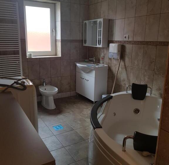 פנסיון Casa Cojanu