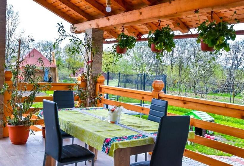 بنسيون Casa Nely