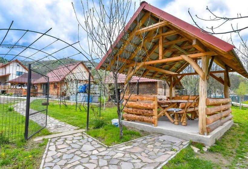 بنسيون Casa Nely