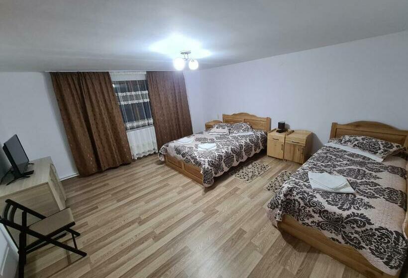 بنسيون Casa Toader