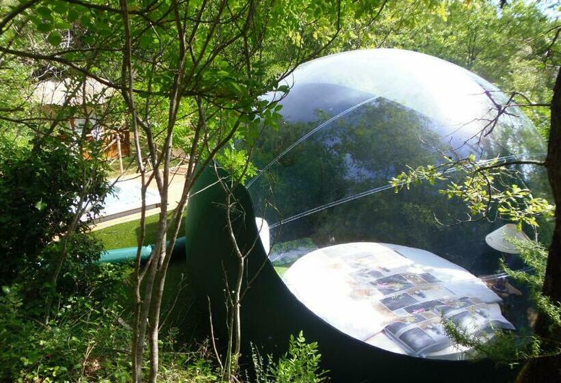 膳宿费 Domaine De L Insolite