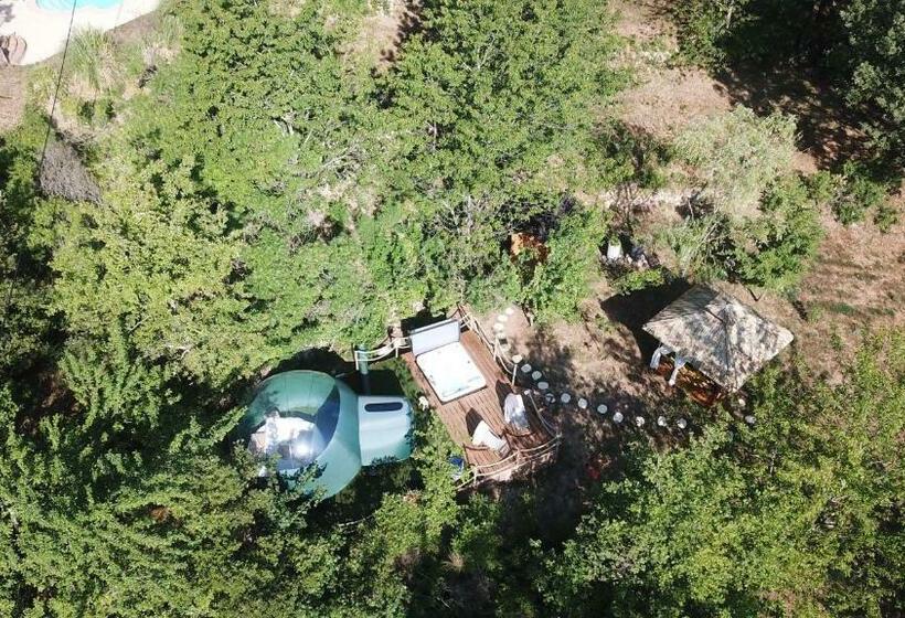 膳宿费 Domaine De L Insolite