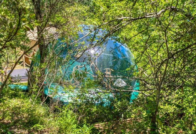 膳宿费 Domaine De L Insolite