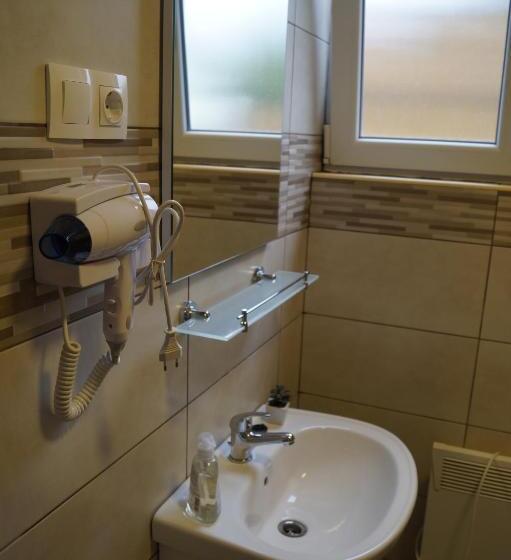 بنسيون Gizella Vendégház