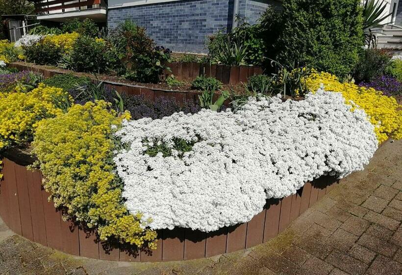 ペンション Gästehaus Bausch