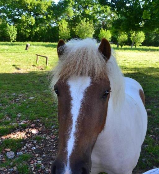 펜션 L Instant Bleu