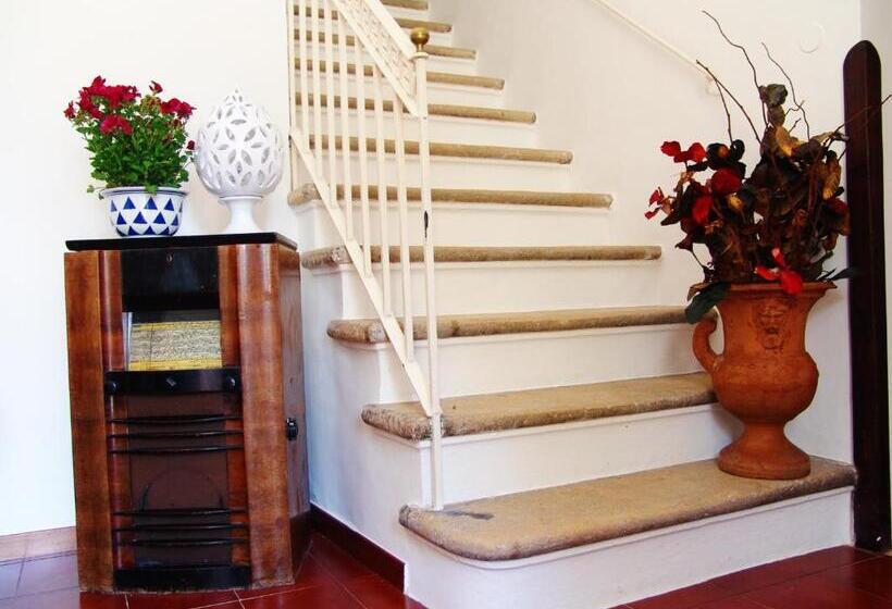 بنسيون La Bougainvillea