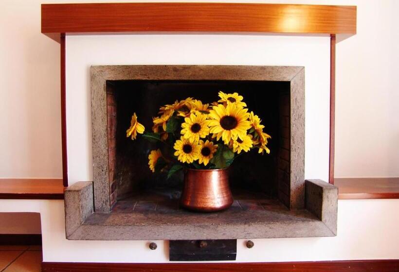 بنسيون La Bougainvillea