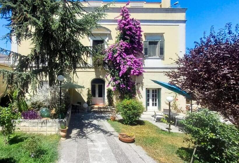 بنسيون La Bougainvillea