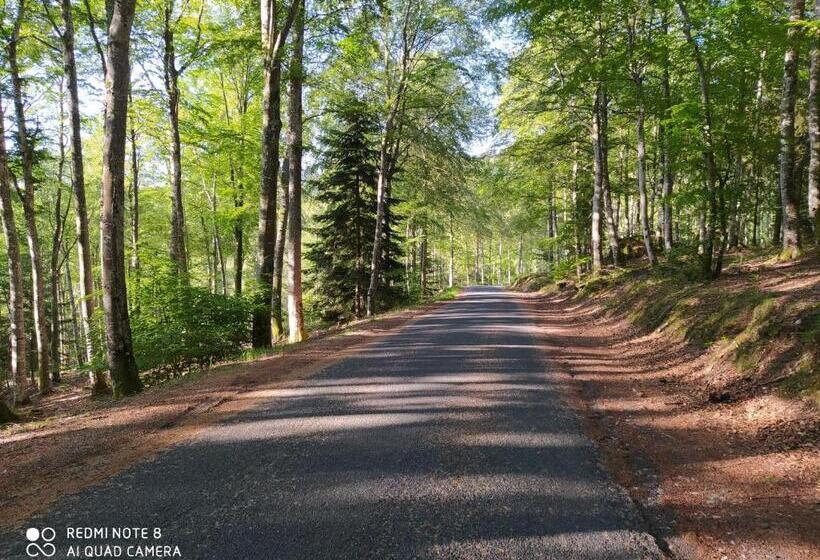 Пансион La Posada