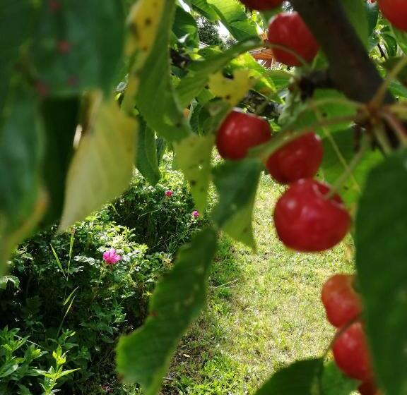 Пансион La Posada