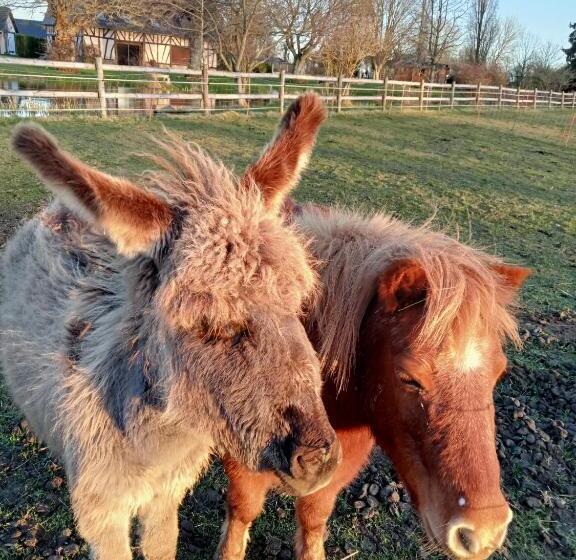 ペンション Le Pressoir De Gisay