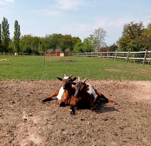 ペンション Le Pressoir De Gisay