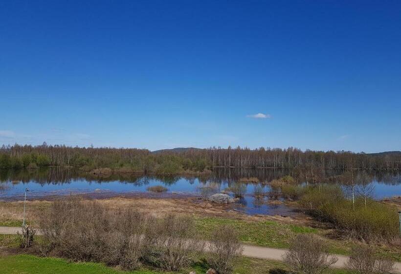 פנסיון The Friendly Moose