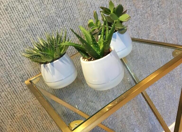 بنسيون Urban Nest