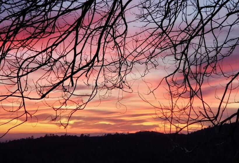 펜션 Yosemite Foothill Retreat   Private Guest Suite #2