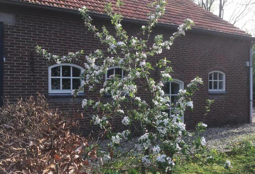 B&b Bij Bedaf