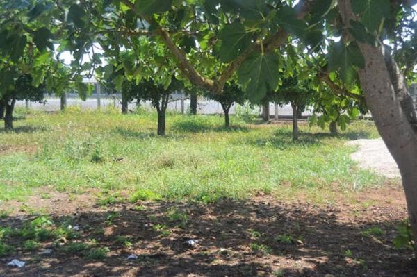 Bed and Breakfast Beastella Holiday Rooms