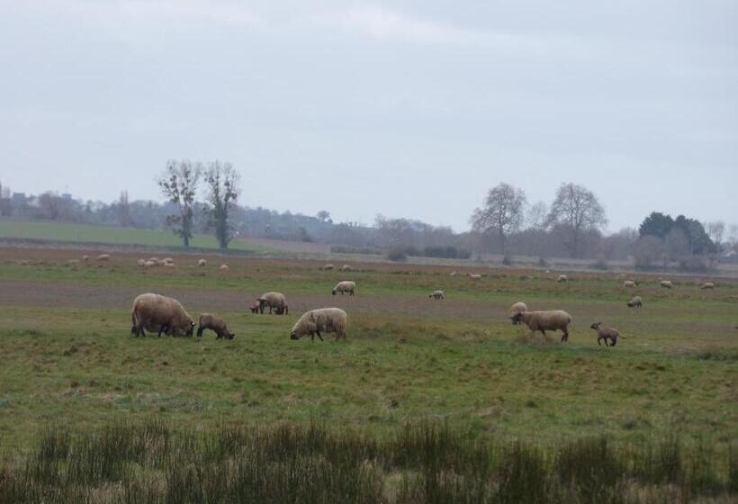 住宿加早餐  Chambre Familiale Proche Mont St Michel