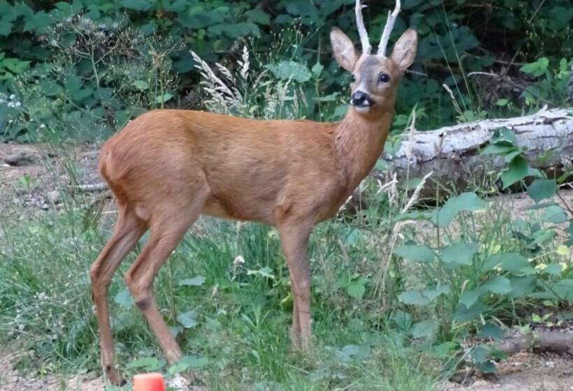 민박 Chambres De Monthéard