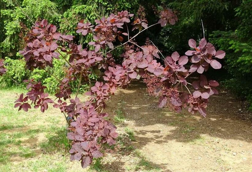 민박 Chambres De Monthéard