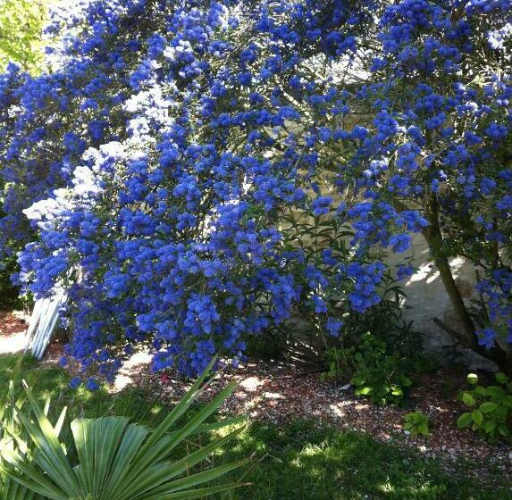 住宿加早餐  La Jarrie Leduc