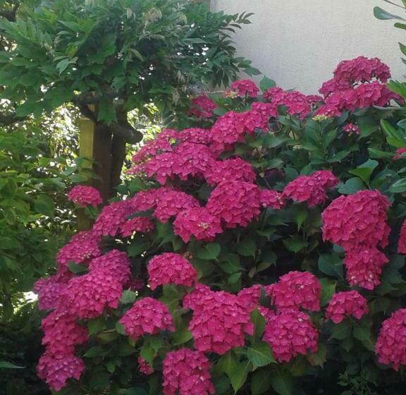 ベッドアンドブレックファースト Le Champ Du Petit Bois