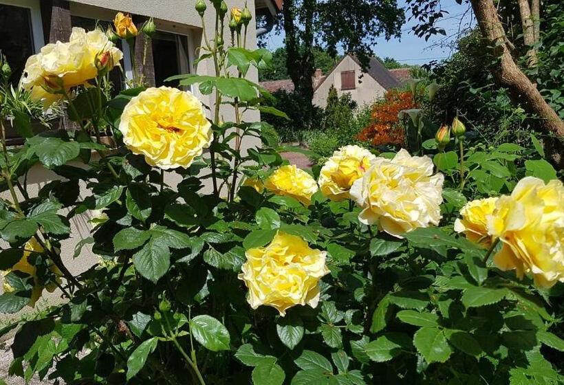 ベッドアンドブレックファースト Le Champ Du Petit Bois