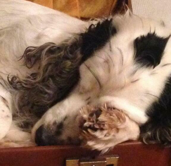 住宿加早餐  Ma Maison De Couture