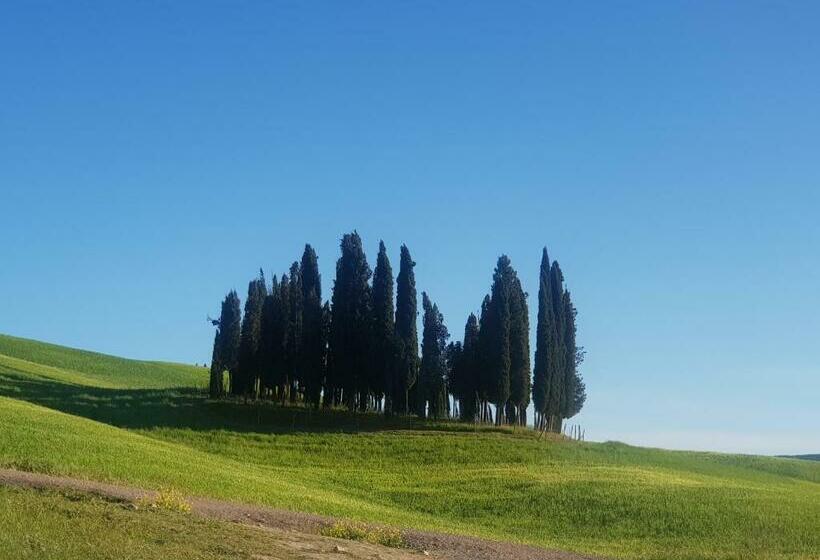 Bed and Breakfast Palazzetto Del Pittore