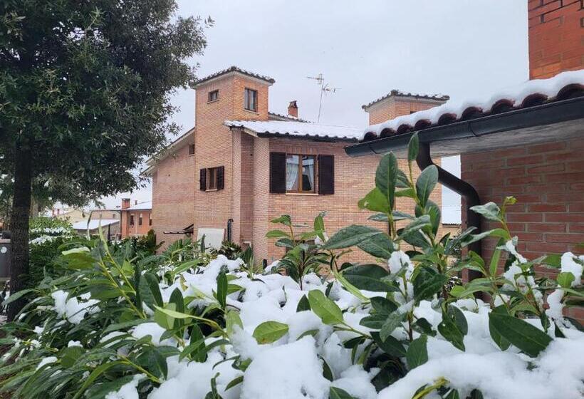 Bed and Breakfast Palazzetto Del Pittore