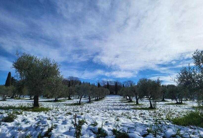 Bed and Breakfast Palazzetto Del Pittore
