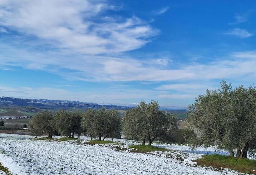 Bed and Breakfast Palazzetto Del Pittore